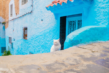 Sightseeing in Chefchaouen, Morocco