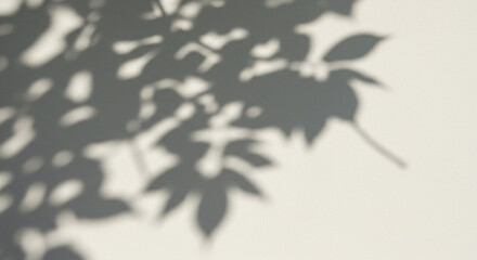 Serene shadows of leaves dancing on a sunlit wall, a gentle whisper of nature's artistry in soft gray tones.