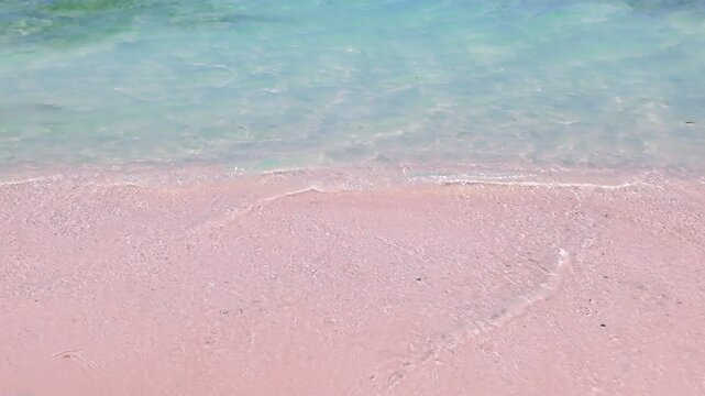 ocean with calm waves reaching shore of pink sand beach on tropical during sunny day, holidays, vacations, relax, paradise and tourism concept