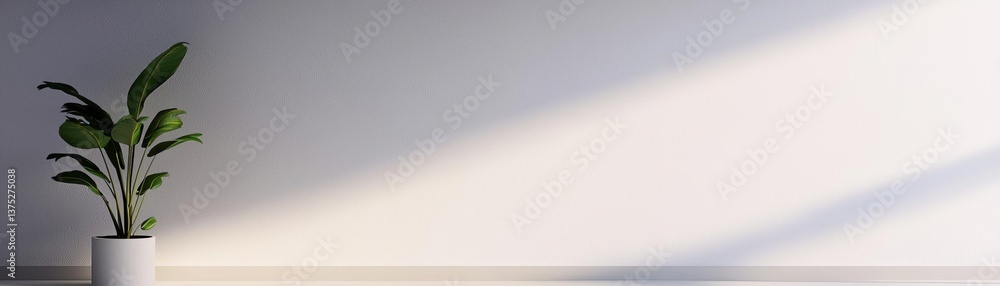 Poster blank white gradient background with product display white backdrop or empty studio with room floor 