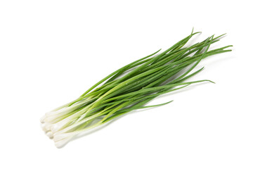 young green onion isolated on white background.