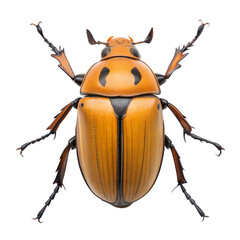 Grapevine Beetle AI Generated Image