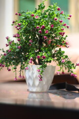 flowers on the table