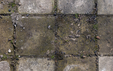 Background of destroyed concrete path, gray concrete, concrete texture, close-up. Natural photo. Old concrete slab