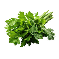 Herb PNG fresh green leaves PNG culinary ingredient PNG organic seasoning PNG aromatic herb PNG natural cooking PNG transparent background