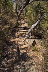 Hiking track at Stoney Creek in Grampians National Park in Victoria, Australia
