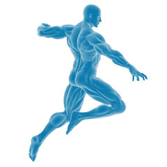Dynamic pose of blue male anatomy illustration