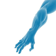 Obraz premium Abstract blue muscular arm sculpture