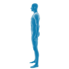 3D illustration of a blue male human body