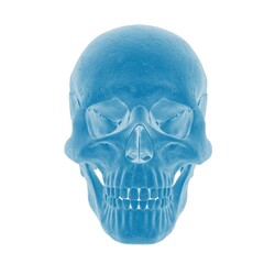 Blue translucent human skull art piece