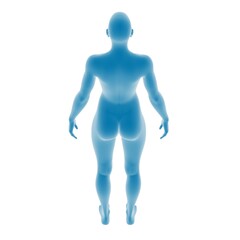 3D render of a blue human figure from behind.