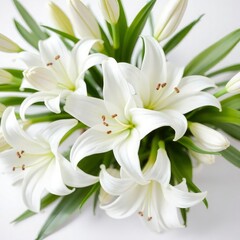 Obraz premium lily of the valley