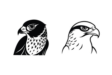 Peregrine Falcon and Hawk Head Illustrations Black and White Vector Art