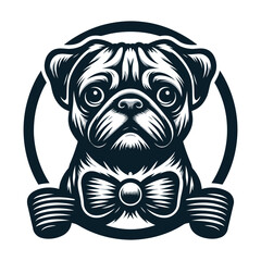 Pug vector and illustrations