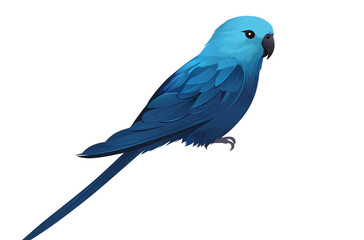 Blue budgieparakeet, full body, isolated on a transparent background