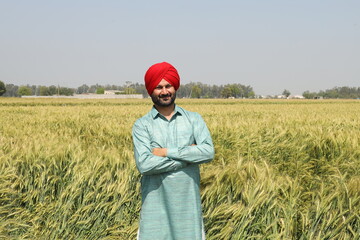 Punjabi sikh farmer standing at wheat agriculture field. Young punjab man, People of India, Copy...