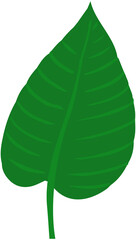 Leaves Icon 