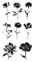 PNG flower Chinese ink brush element set, transparent background