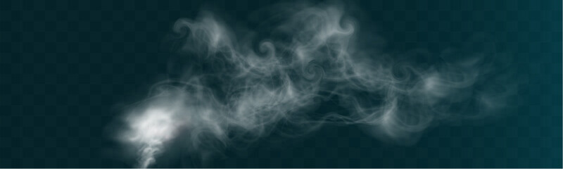 Realistic white smoke on transparent background with soft swirling effect, misty fog, and airy vapor for design projects.	
