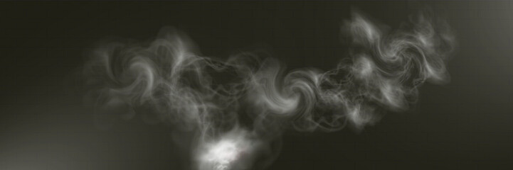 Realistic white smoke on transparent background with soft swirling effect, misty fog, and airy vapor for design projects.	
