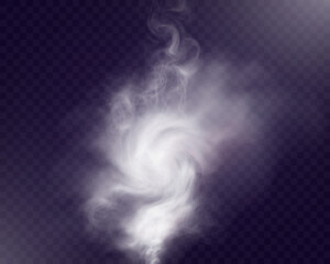 Realistic white smoke on transparent background with soft swirling effect, misty fog, and airy vapor for design projects.	
