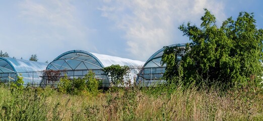 A row of greenhouses shines in the sun, promising a bountiful harvest of fresh produce.