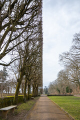 Obraz premium Geometric view of alley of spring trees trimmed square shape in the French park in Paris