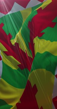 Flag of the spanish city of Huesca in Aragon, Spain - Loop. 4K Vertical