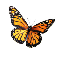A large orange butterfly with black spots is flying in the air