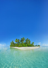 Palm trees and clean, transparent turquoise water on the Beautiful maldives tropical island - big...