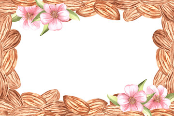 Almond kernels with pink flowers and leaves watercolot horizontal frame isolated. Template with copy space from natural organic food. Spice for cooking. Hand drawn Illustration of nuts in sketch style