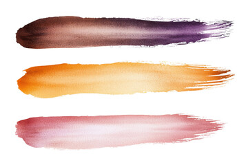 Fototapeta premium Dried watercolor paint strokes set, isolated on transparent background