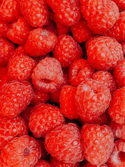 lots of ripe red raspberries for cooking as a background