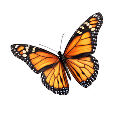 Fototapeta premium A butterfly with orange wings is flying in the air