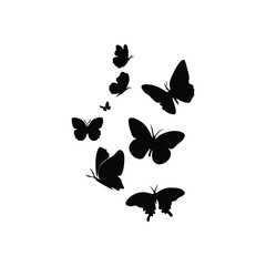 Butterfly flying silhouette