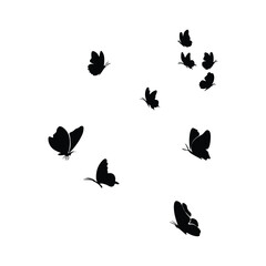 Butterfly flying silhouette with vector