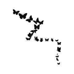 Butterfly flying silhouette with vector