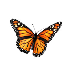 Fototapeta premium A large orange butterfly with black spots is flying in the air