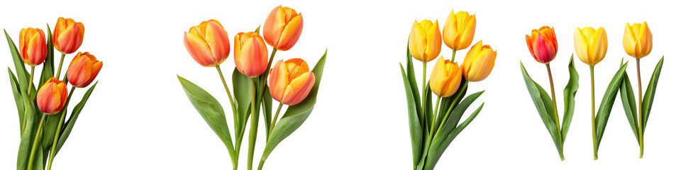 Naklejka premium Colorful assortment of blooming tulip flowers in various shades of orange red and yellow arranged in a natural and elegant bouquet