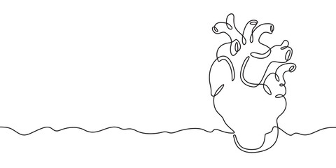 Continuous one line drawing human heart.Cardiology.Medicine.