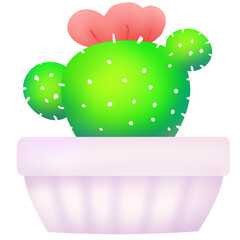 cactus in flower pot