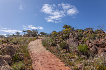 Obraz premium A brick path winds up the hill between rugged, weathered rocks and wildflowers towards the blue sky with interesting clouds in the Living Desert State Park at Broken Hill in New South Wales, Australia