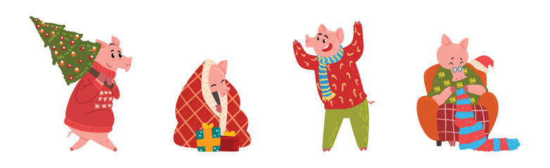 Funny Pig Character in Warm Clothing at Winter Holiday Vector Set