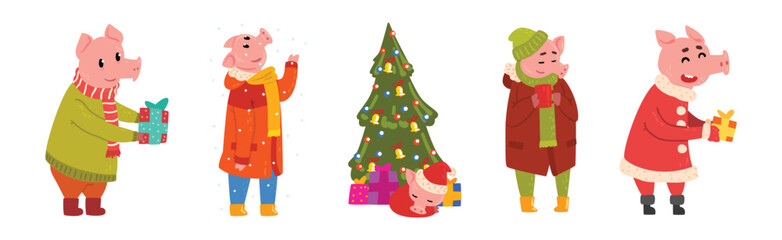 Funny Pig Character in Warm Clothing at Winter Holiday Vector Set