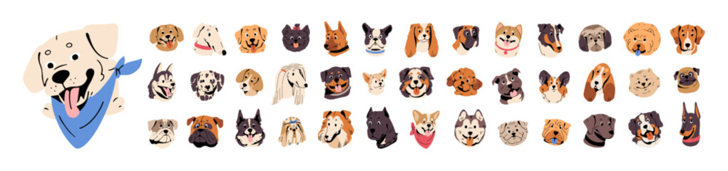 Cute avatars of different dog breeds set. Portraits of happy muzzles of various puppies, pets. Funny faces of corgi, bulldog, akita inu, labrador, husky. Flat isolated vector illustrations on white
