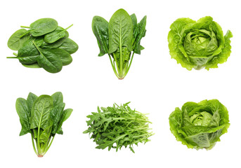 Fresh Green Leafy Vegetables PNG Collection

