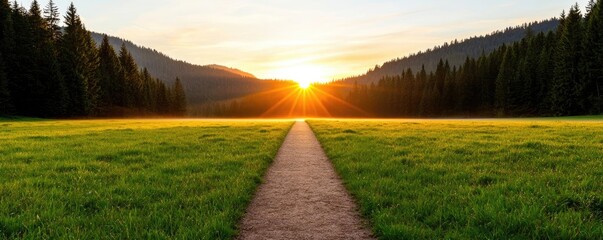 Fototapeta premium Forest at sunset rays illuminate serene pathway in twilight concept. A serene landscape with a path leading towards a vibrant sunset.