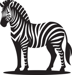 zebra vector illustration