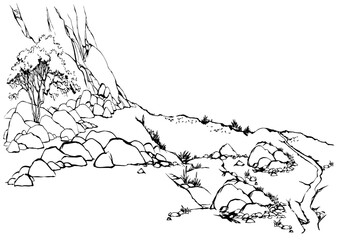 Small bush in desert. Vector drawing