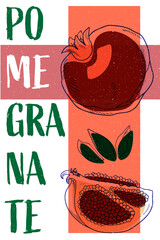 Pomegranate vintage poster design. Fruit art risography style